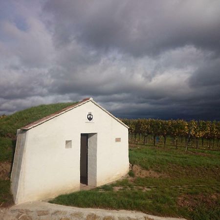 Weingut Wagner Apartment Leodagger Exterior photo